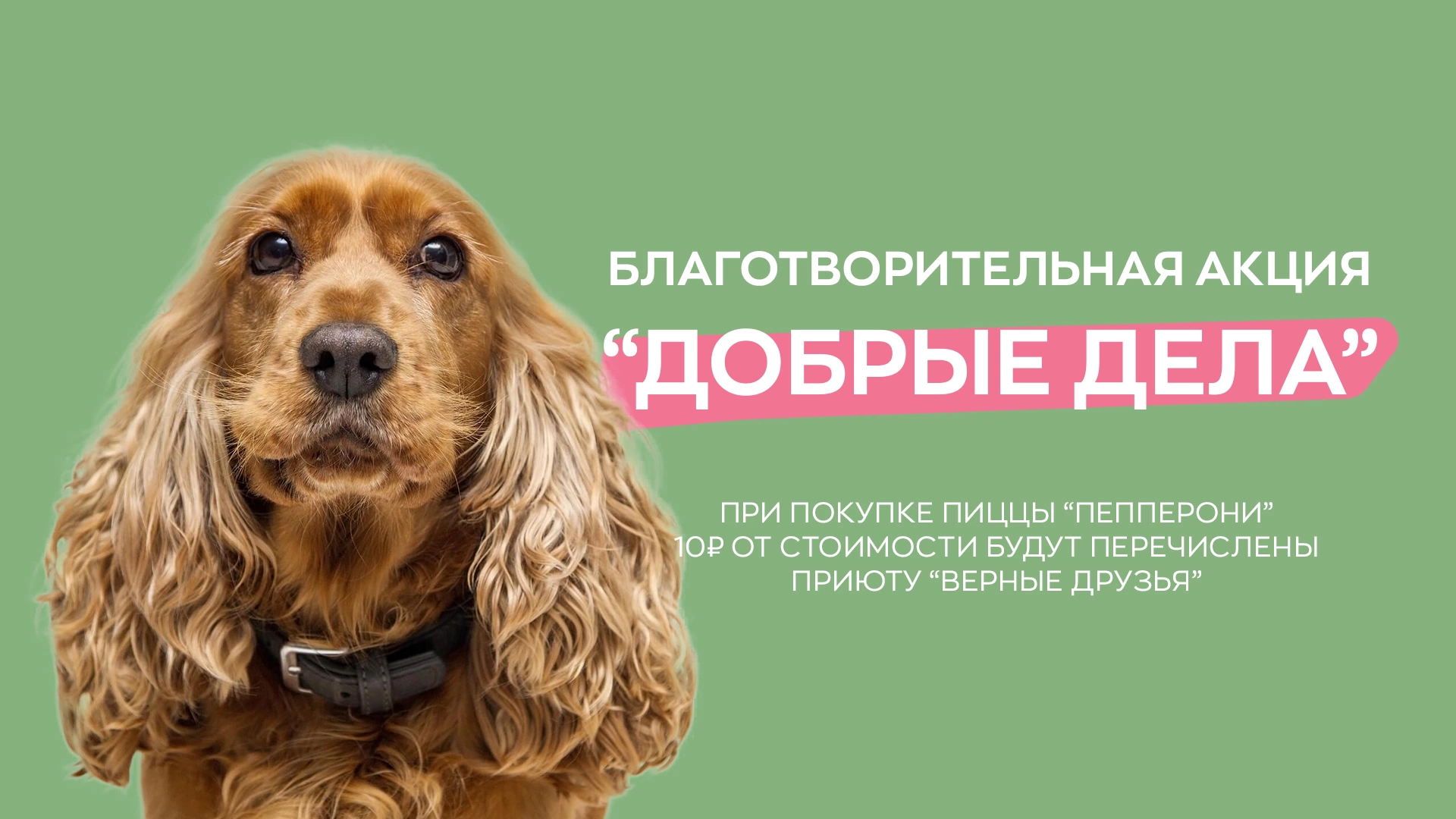 Добрые дела